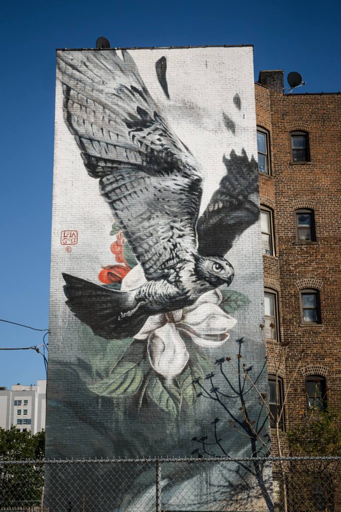 Neighborhood building